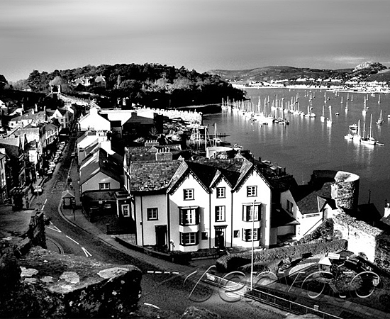 免费商业版的短信轰炸